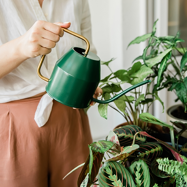 AdobeStock_435763541