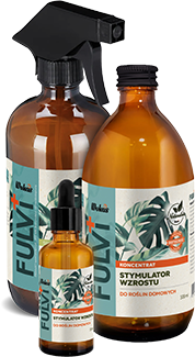 packshot