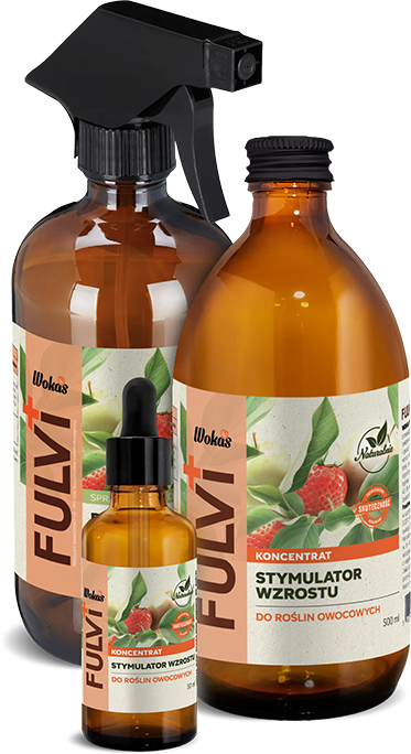 packshot